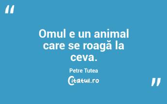 Omul e un animal care se roagă la ceva. Petre Țuțea...