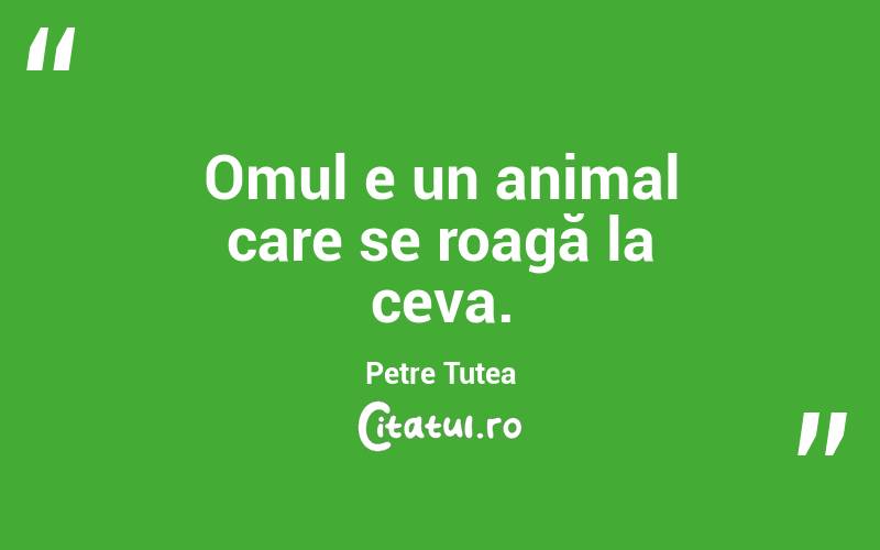 Omul e un animal care se roagă la ceva. Petre Țuțea
