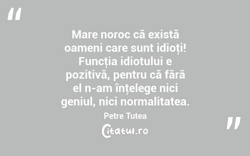 Mare noroc că există oameni care sunt idioţi! Funcţia idiotului e pozitivă, pentru că fără el n-am înţelege nici geniul, nici normalitatea. Petre Țuțea