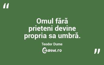Omul fără prieteni devine propria sa umbră. Teodor Dume...