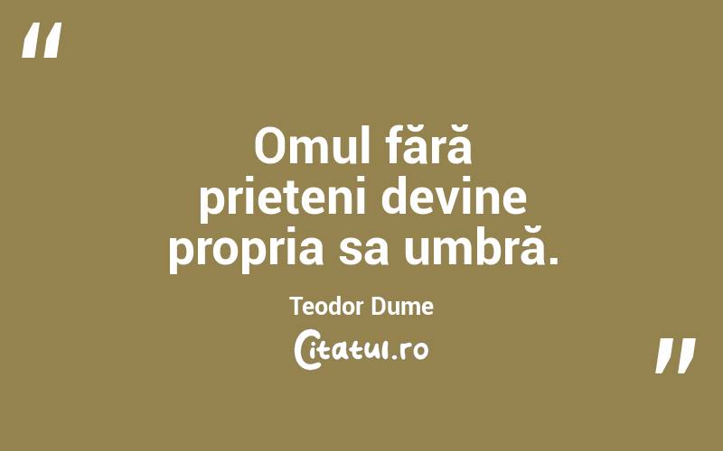 Omul fără prieteni devine propria sa umbră. Teodor Dume

