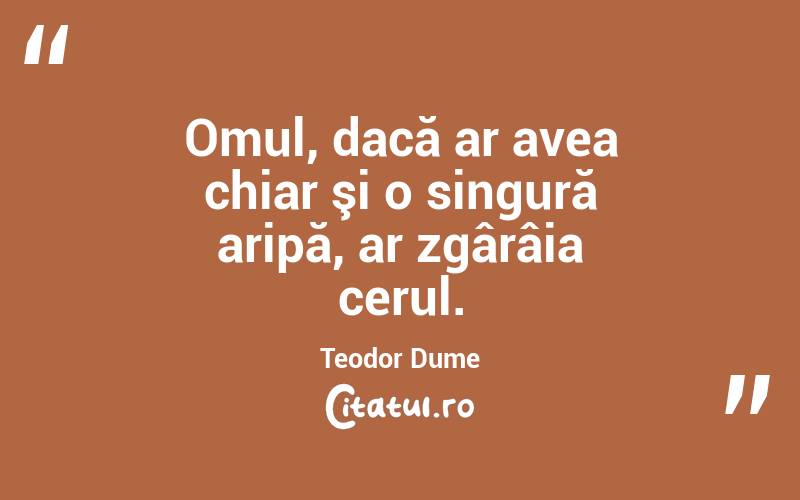 Omul, dacă ar avea chiar şi o singură aripă, ar zgârâia cerul. Teodor Dume
