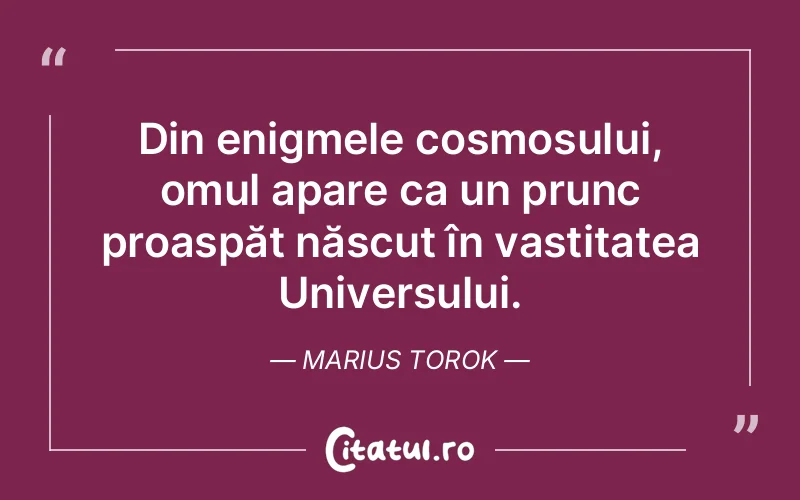 Din enigmele cosmosului, omul apare ca un prunc proaspăt născut în vastitatea Universului. Marius Torok