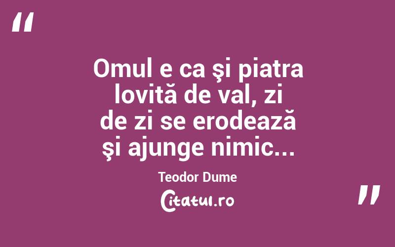 Omul e ca şi piatra lovită de val, zi de zi se erodează şi ajunge nimic... Teodor Dume
