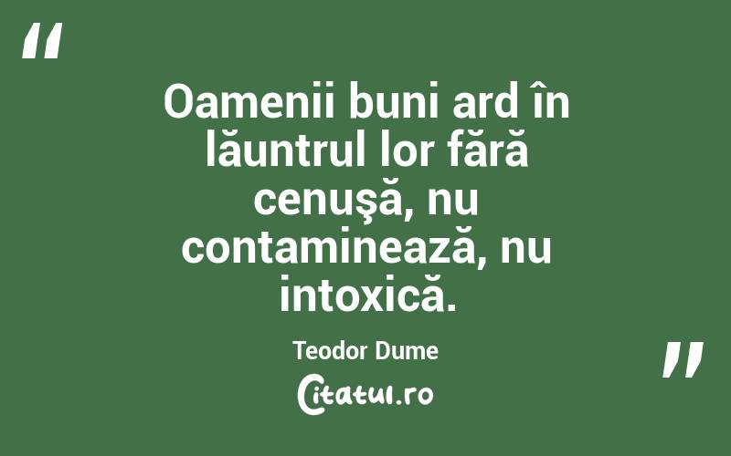 Oamenii buni ard în lăuntrul lor fără cenuşă, nu contaminează, nu intoxică. Teodor Dume
