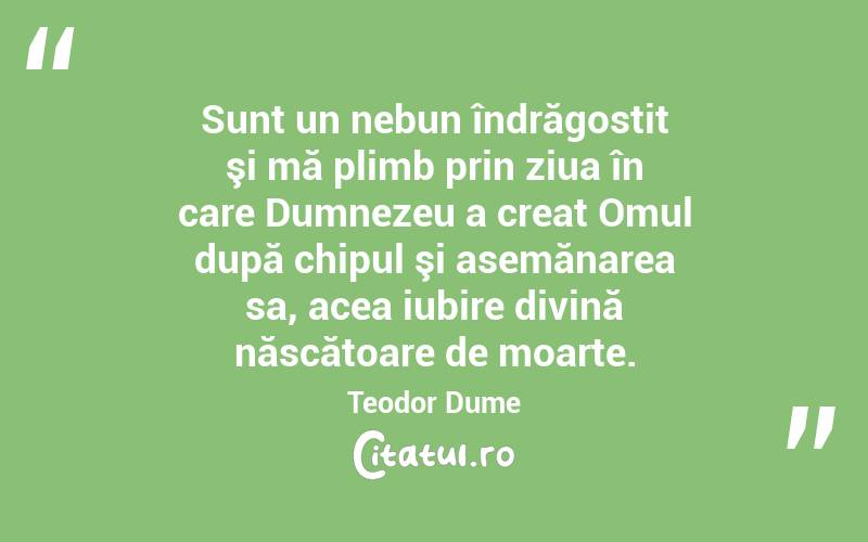 Sunt un nebun îndrăgostit şi mă plimb prin ziua în care Dumnezeu a creat Omul după chipul şi asemănarea sa, acea iubire divină născătoare de moarte. Teodor Dume
