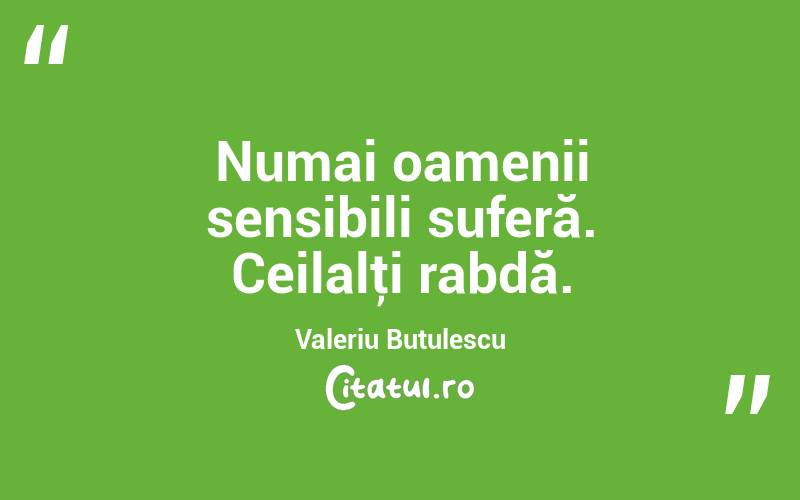 Numai oamenii sensibili suferă. Ceilalţi rabdă. Valeriu Butulescu
