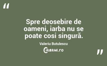 Spre deosebire de oameni, iarba nu se poate cosi singură. Valeriu Butulescu...