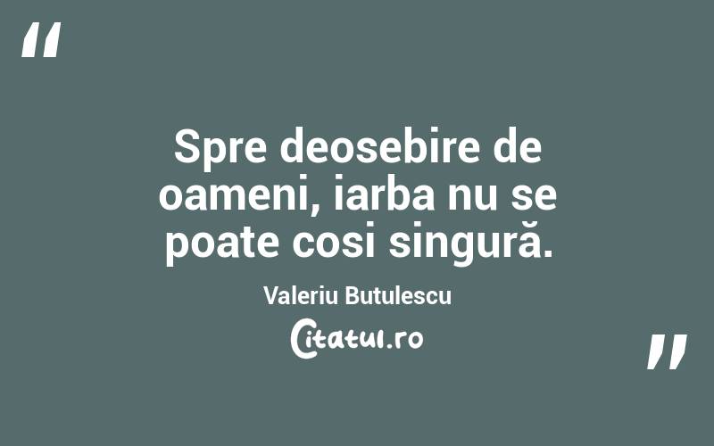 Spre deosebire de oameni, iarba nu se poate cosi singură. Valeriu Butulescu
