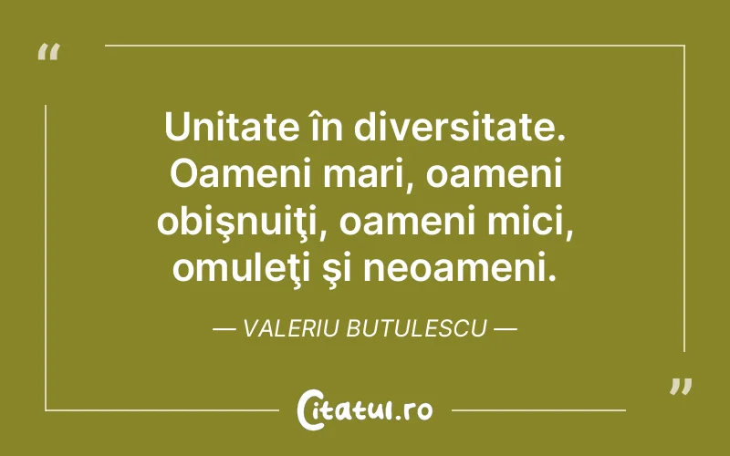 Citat Valeriu Butulescu - citate oameni