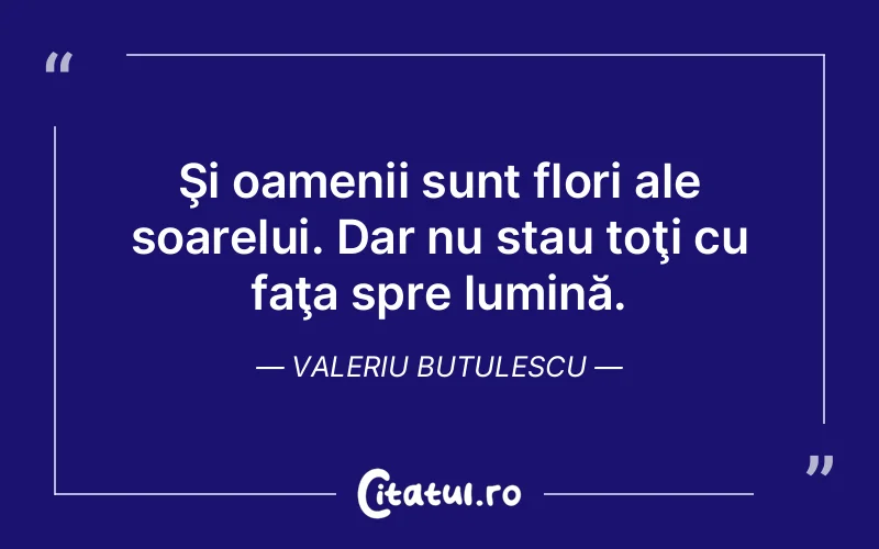 Citat Valeriu Butulescu - citate oameni
