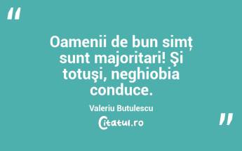 Oamenii de bun simţ sunt majoritari! Şi totuşi, neghiobia conduce. Valeriu Butulescu...