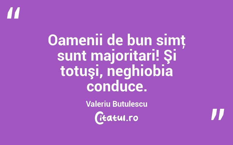 Oamenii de bun simţ sunt majoritari! Şi totuşi, neghiobia conduce. Valeriu Butulescu