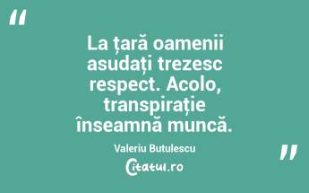 La ţară oamenii asudaţi trezesc respect. Acolo, transpiraţie înseamnă muncă. Valeriu Butulescu...