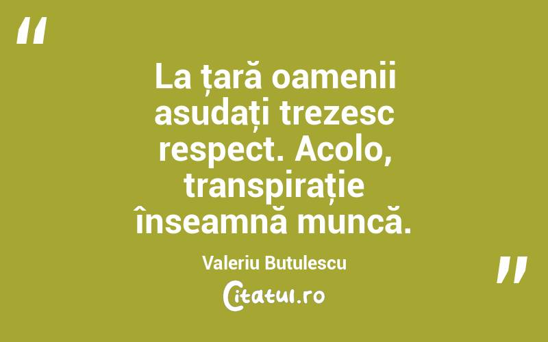 La ţară oamenii asudaţi trezesc respect. Acolo, transpiraţie înseamnă muncă. Valeriu Butulescu
