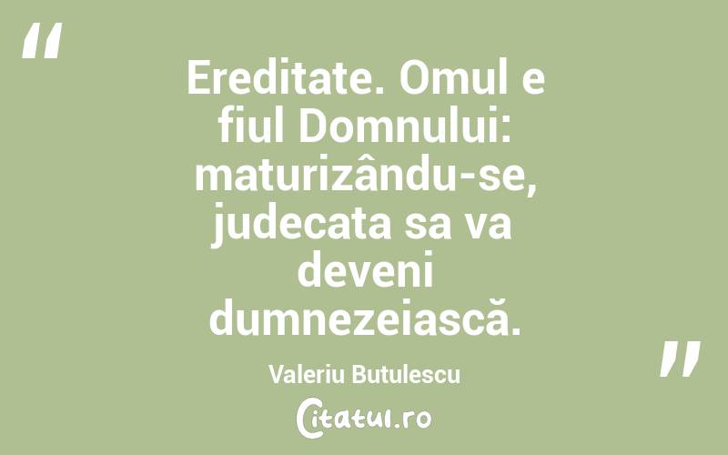 Ereditate. Omul e fiul Domnului: maturizându-se, judecata sa va deveni dumnezeiască. Valeriu Butulescu
