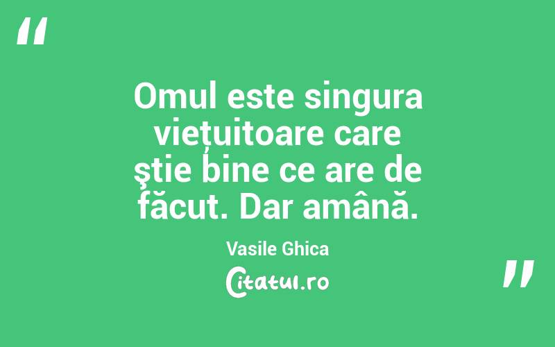 Omul este singura vieţuitoare care ştie bine ce are de făcut. Dar amână. Vasile Ghica
