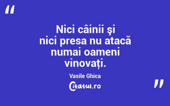 Nici câinii şi nici presa nu atacă numai oameni vinovaţi. Vasile Ghica...