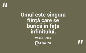 Omul este singura fiinţă care se burică în faţa infinitului. Vasile Ghica...