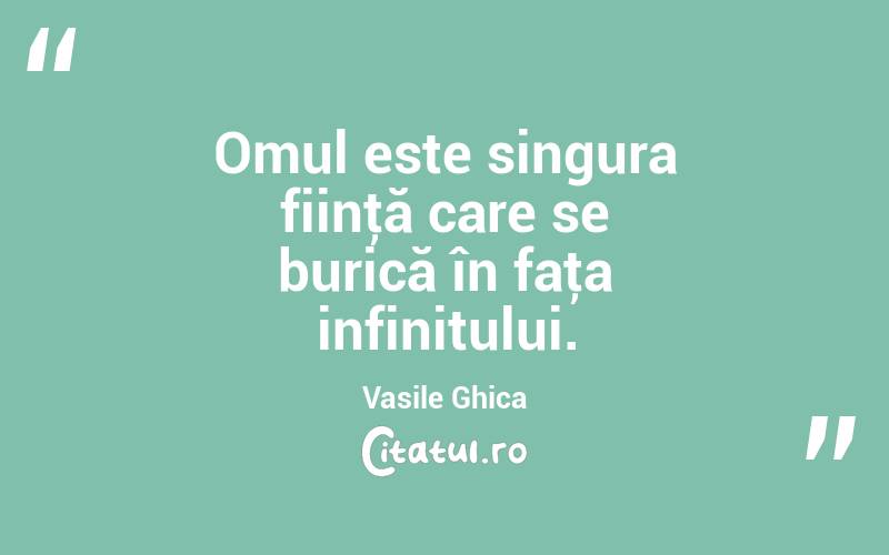 Omul este singura fiinţă care se burică în faţa infinitului. Vasile Ghica
