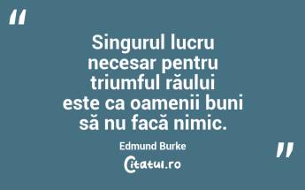 Singurul lucru necesar pentru triumful răului este ca oamenii buni să nu facă nimic. Edmund Burke...