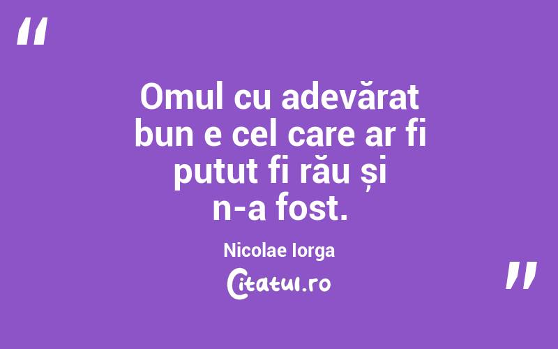 Omul cu adevărat bun e cel care ar fi putut fi rău și n-a fost. Nicolae Iorga
