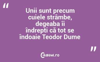 Unii sunt precum cuiele strâmbe, degeaba îi îndrepți că tot se îndoaie Teodor Dume...