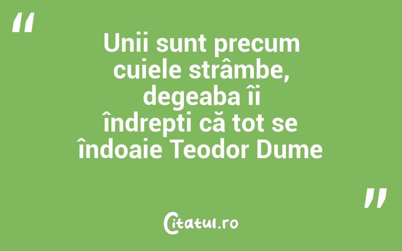 Unii sunt precum cuiele strâmbe, degeaba îi îndrepți că tot se îndoaie Teodor Dume
