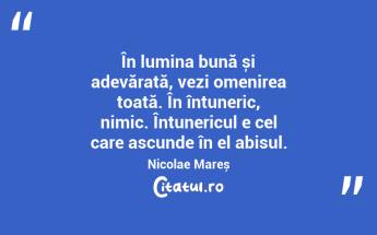 În lumina bună și adevărată, vezi omenirea toată. În întuneric, nimic. Întunericul e cel care ascunde în el abisul. Nicolae Mareș...