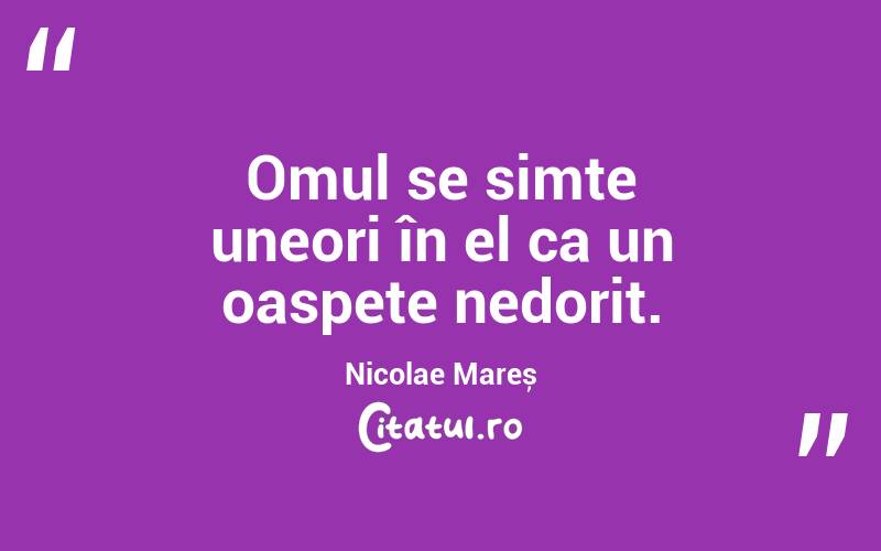 Omul se simte uneori în el ca un oaspete nedorit. Nicolae Mareș
