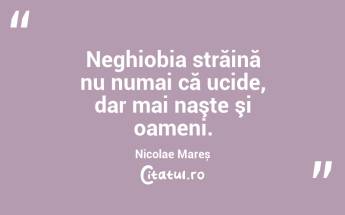 Neghiobia străină nu numai că ucide, dar mai naşte şi oameni. Nicolae Mareș...