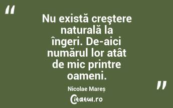 Nu există creştere naturală la îngeri. De-aici numărul lor atât de mic printre oameni. Nicolae Mareș...