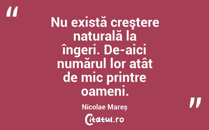 Nu există creştere naturală la îngeri. De-aici numărul lor atât de mic printre oameni. Nicolae Mareș
