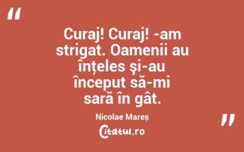 Curaj! Curaj! -am strigat. Oamenii au înţeles şi-au început să-mi sară în gât. Nicolae Mareș...