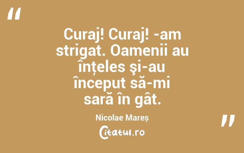 Curaj! Curaj! -am strigat. Oamenii au înţeles şi-au început să-mi sară în gât. Nicolae Mareș
