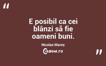 E posibil ca cei blânzi să fie oameni buni. Nicolae Mareș...