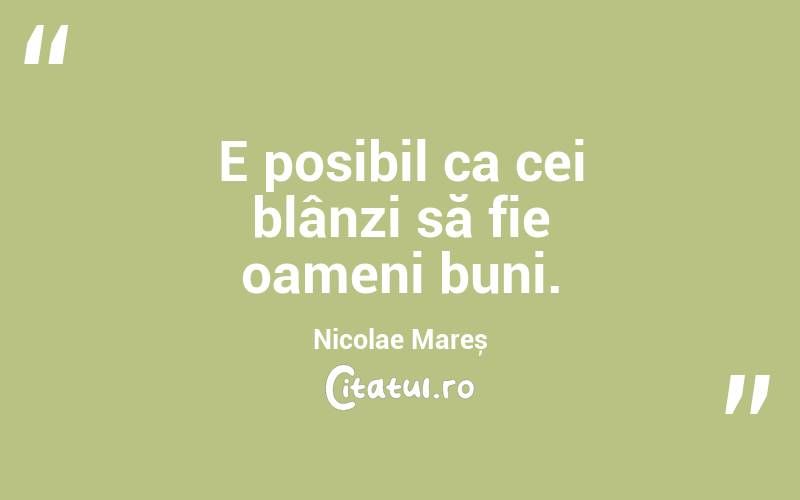 E posibil ca cei blânzi să fie oameni buni. Nicolae Mareș
