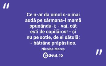 Ce n-ar da omul s-o mai audă pe sărmana-i mamă spunându-i: - vai, cât ești de copilăros! - și nu pe soție, de el sătulă: - bătrâne prăpăstios. Nicolae Mareș...