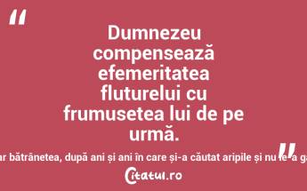 Dumnezeu compensează efemeritatea fluturelui cu frumusețea lui de pe urmă. Omul primește în dar bătrânețea, după ani și ani în care și-a căutat aripile și nu le-a găsit… Ionuț Caragea...