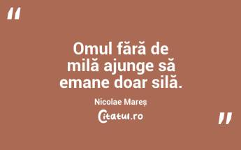 Omul fără de milă ajunge să emane doar silă. Nicolae Mareș...