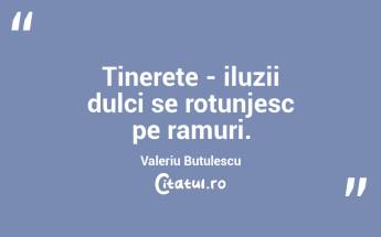 Tinerețe - iluzii dulci se rotunjesc pe ramuri. Valeriu Butulescu...