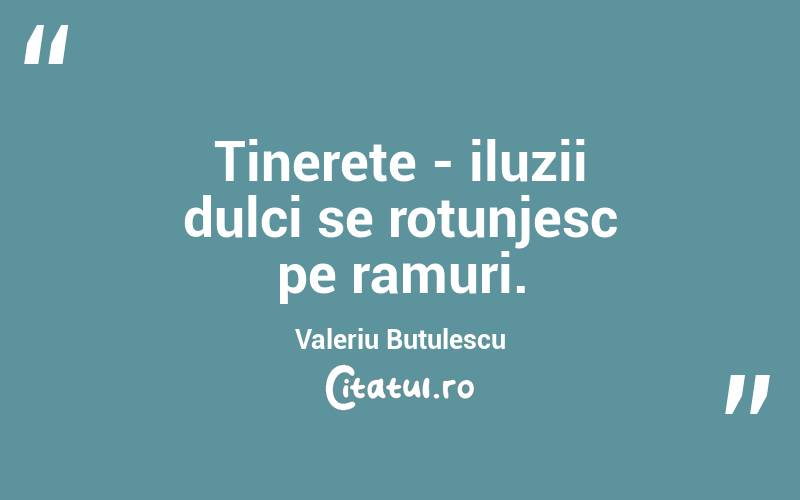 Tinerețe - iluzii dulci se rotunjesc pe ramuri. Valeriu Butulescu
