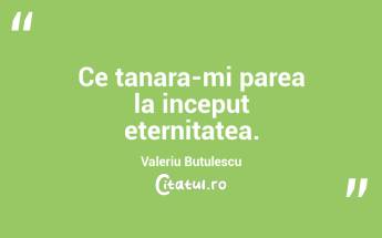 Ce tanara-mi parea la inceput eternitatea. Valeriu Butulescu...