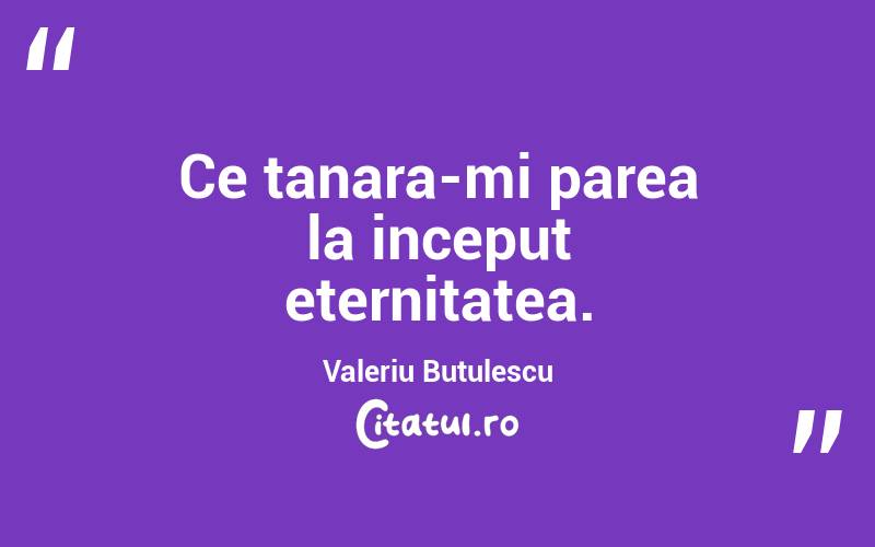 Ce tanara-mi parea la inceput eternitatea. Valeriu Butulescu
