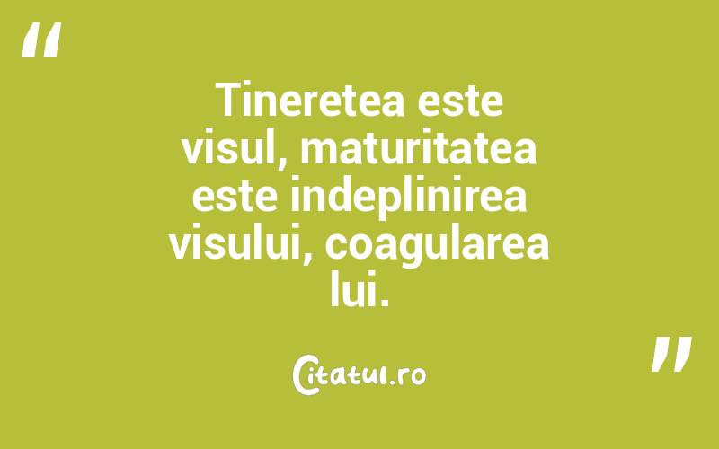 Tineretea este visul, maturitatea este indeplinirea visului, coagularea lui. 
