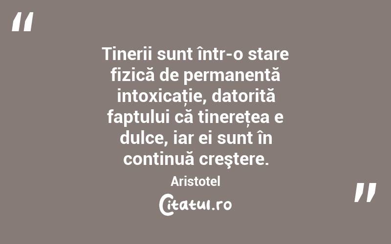 Tinerii sunt într-o stare fizică de permanentă intoxicaţie, datorită faptului că tinereţea e dulce, iar ei sunt în continuă creştere. Aristotel