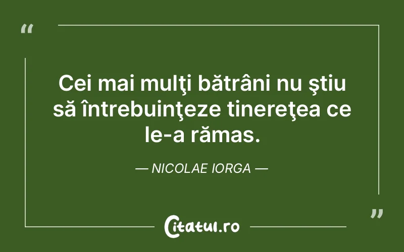 Citat Nicolae Iorga - citate oameni
