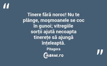 Tinere fără noroc! Nu te plânge, moşmoanele se coc în gunoi; vitregiile sorţii ajută necoapta tinereţe să ajungă înţeleaptă. Pitagora...