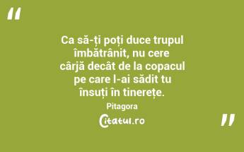 Ca să-ţi poţi duce trupul îmbătrânit, nu cere cârjă decât de la copacul pe care l-ai sădit tu însuţi în tinereţe. Pitagora...