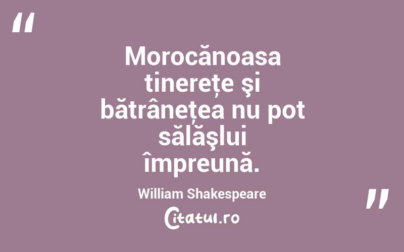 Morocănoasa tinereţe şi bătrâneţea nu pot sălăşlui împreună. William Shakespeare
